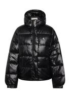 Calvin Klein Jeans Shine Puffer Jacket Svart