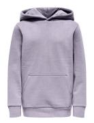 ONLY & SONS Osjceres Hoodie Swt Noos Lila