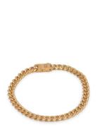 Steel & Barnett Svelte Stephen Guld