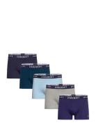 Lyle & Scott Miller Blå