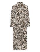 Part Two Tinellapw Dr Brun