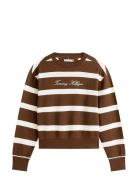 Tommy Hilfiger Script Reg Pique Swtshrt Brun