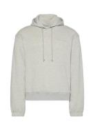 Calvin Klein L/S Hoodie Grå