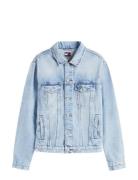 Tommy Jeans Ryan Rglr Trckr Rwb Ext Ci6033 Blå