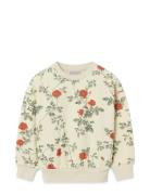 Garbo&Friends Sweatshirt Baby Kräm