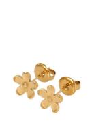 Sistie Camellia - Earstuds Gold-Plated Guld