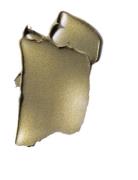 L'Oréal Paris Color Riche X Balmain Glamaz Grön