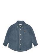 Ralph Lauren Baby Ls Bd-Toppar-Shirt Blå