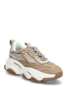 Steve Madden Possession-E Vit